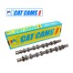 Arbres à Cames Cat Cams VW Golf GT 1.4L TSi 170 Twincharged (CAVE,CAVD,CTHE)